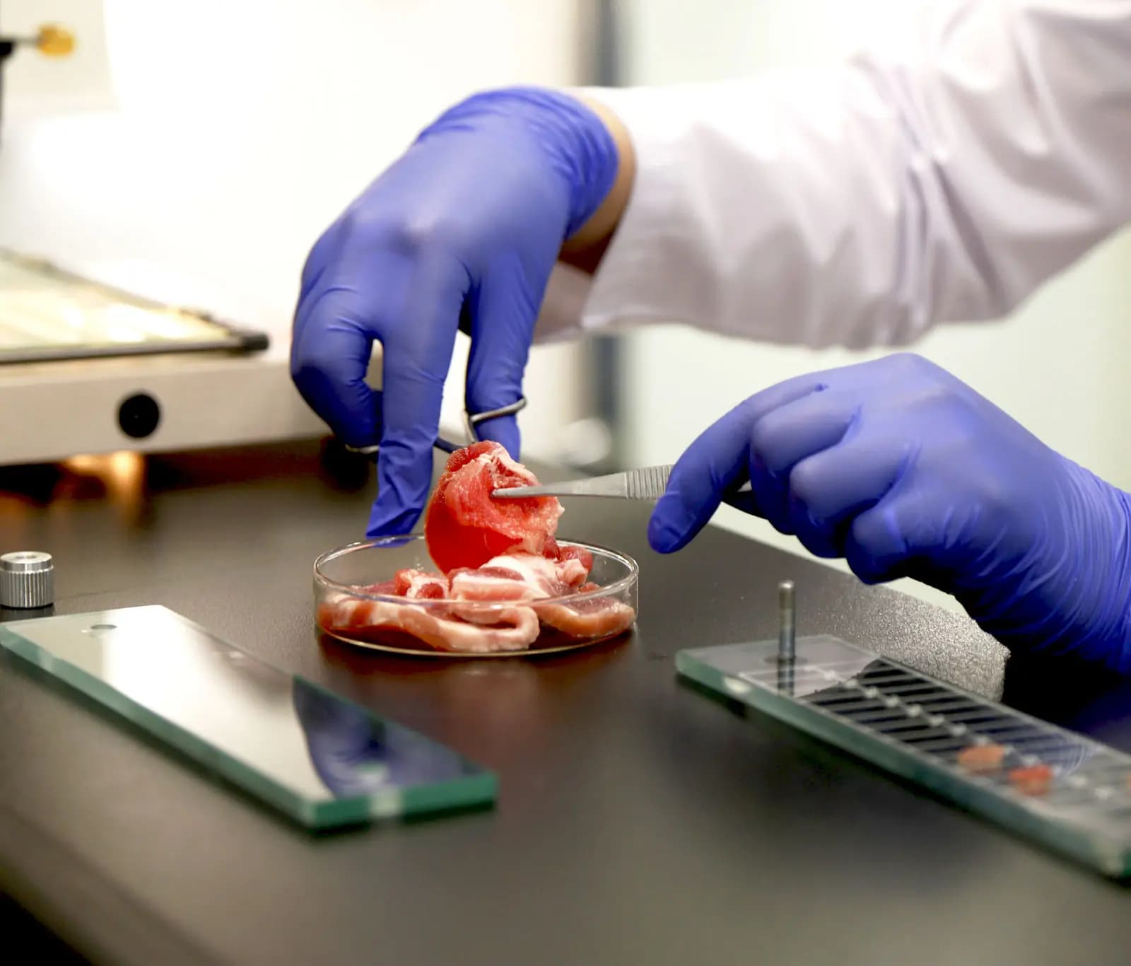 Laboratory testing